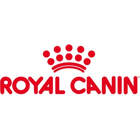 Pienso Royal Canin Gato