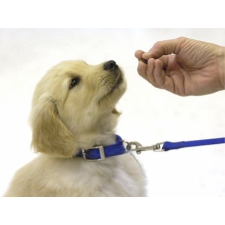 Snacks para cachorros