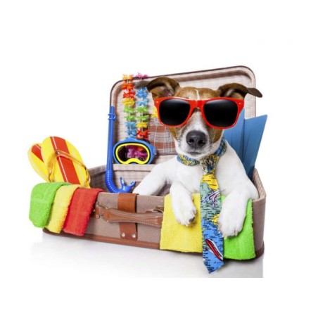 Otros accesorios para viaje