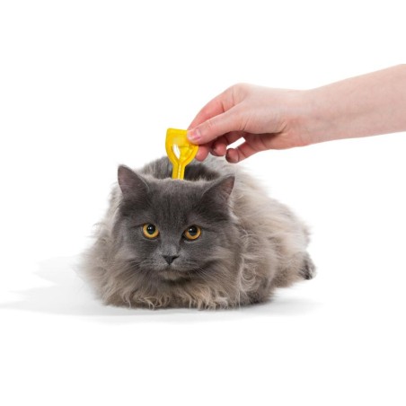 Antiparásitos para gatos