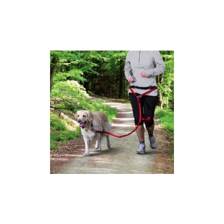 Deporte con tu perro